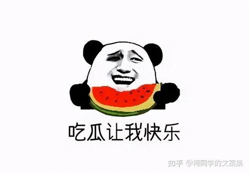 今日吃瓜文案搞笑图片,搞笑图片带你笑出腹肌！