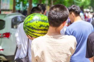 校园爆料吃瓜视频,一起围观校园爆料视频背后的故事
