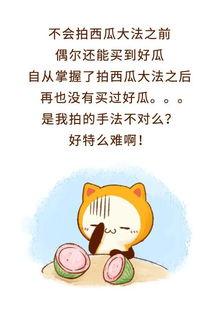 吃瓜群众不吹不黑的地方,客观视角下的真实事件解析