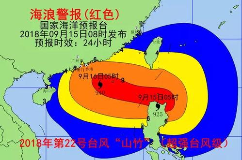 蒲瓜今日行情雷州,雷州市场今日动态解析”