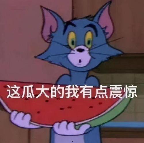 我爆料你吃瓜,瓜王背后的神秘吃瓜达人
