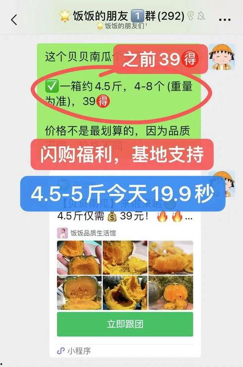 今日京东贝贝瓜价格多少,价格实惠抢购正当时！