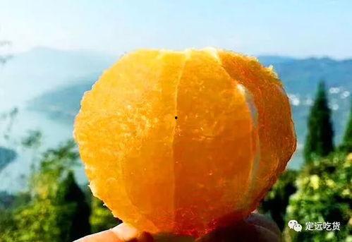 梨瓜今日价格,市场行情一览”