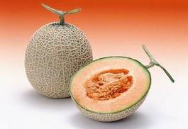 濛阳今日哈密瓜行情价格表,价格波动解析