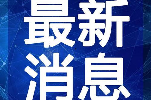 文安吃瓜视频爆料最新,揭秘娱乐圈最新猛料！