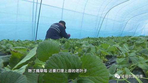 今日瓜坡,聚焦热点，解码民生