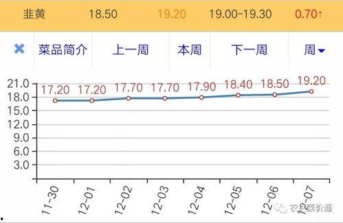 瓜州市场今日菜价表查询,新鲜蔬菜价格波动情况分析