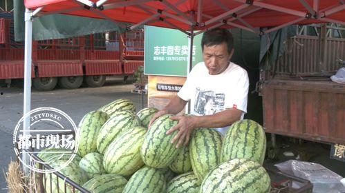 今日元谋三月瓜价格,市场行情一览