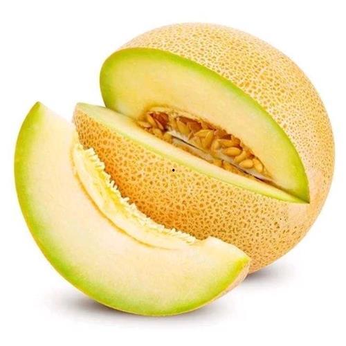 今日嘉兴哈密瓜最新行情,今日价格走势分析