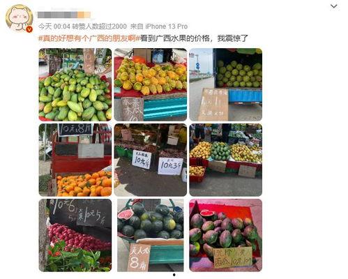 今日10元三斤瓜,夏日炎炎享清凉！”
