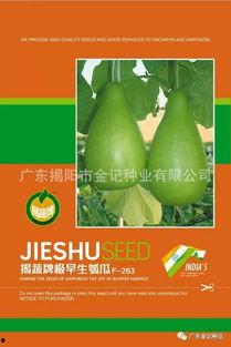 蒲瓜广东今日价格,市场行情一览”