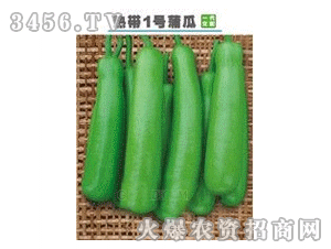 蒲瓜广东今日价格,市场行情一览”