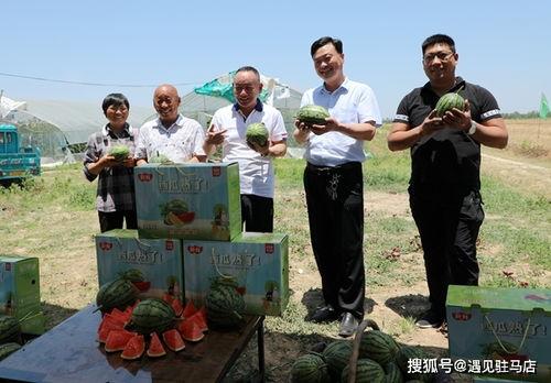 吃瓜群众小老黑是谁扮演的,吃瓜群众小老黑扮演者是谁？
