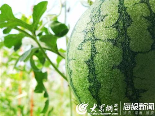 五一爆料最新吃瓜视频,最新视频曝光惊人内幕