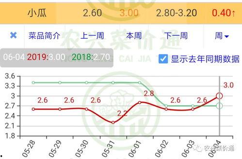 今日小瓜价位走势图表,今日走势图表深度解析