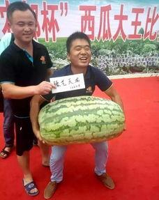 东明吃瓜爆料,揭秘娱乐圈幕后真相