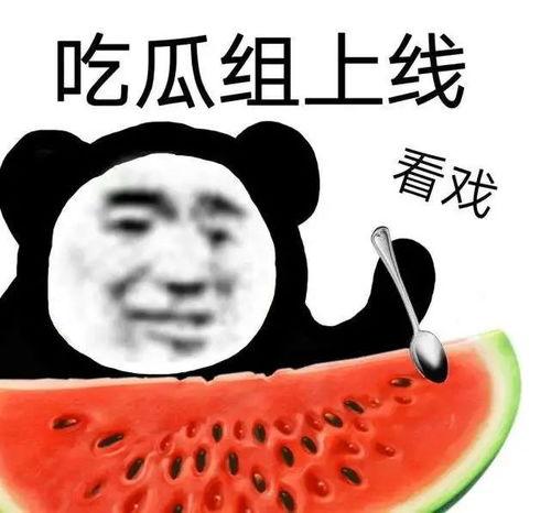 吃瓜不黑,揭秘娱乐圈背后的真实故事