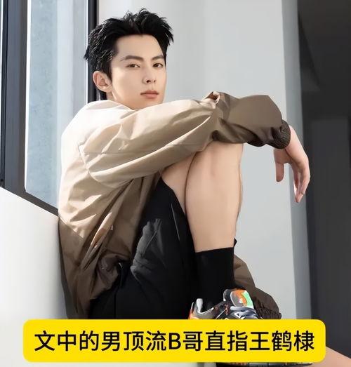 王鹤棣吃瓜爆料,娱乐圈幕后真相大揭秘
