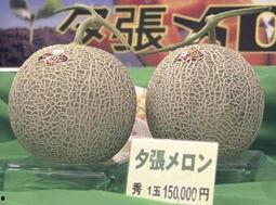 金香玉蜜瓜今日价格行情,价格波动解析与市场趋势洞察