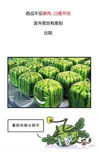 吃瓜吃到自己的黑历史,意外吃出自己黑历史的尴尬瞬间