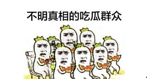 爆料吃瓜群众视频大全,一场全民参与的娱乐盛宴