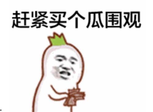 爆料吃瓜群众视频大全,一场全民参与的娱乐盛宴
