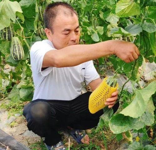 网暴吃瓜爆料吃瓜,从吃瓜到网暴的演变与反思