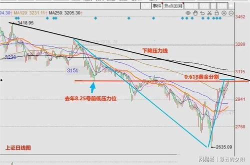 瓠瓜今日行情走势最新,今日走势解析与展望