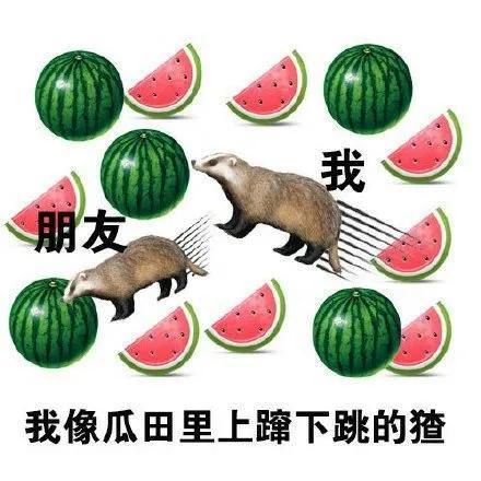 今日吃瓜大瓜每日分享,揭秘娱乐圈最新热点事件