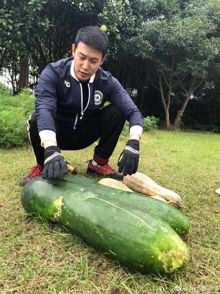 爆料各种吃瓜,揭秘明星们的“吃瓜”大事件
