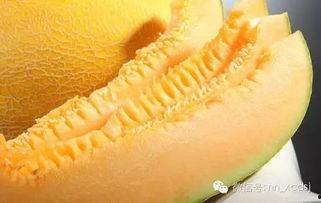 南宁哈密瓜今日价格,价格行情一览”