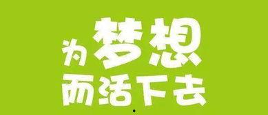 蜜瓜新闻今日头条,今日头条聚焦蜜瓜产业最新动态