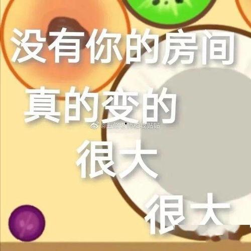 今日摘瓜小分队文案短句,短句背后的欢乐时光
