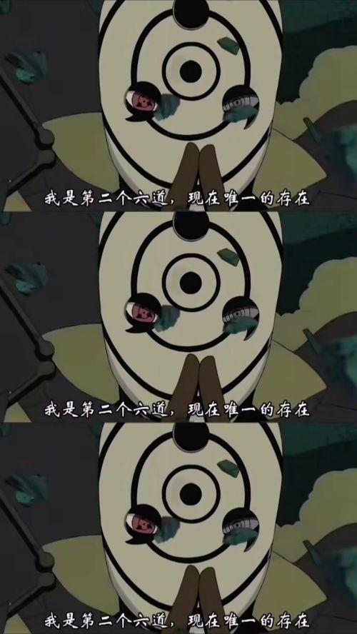 黑贝塔视频吃瓜,揭秘娱乐圈吃瓜大事件