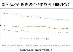 今日新疆瓜价走势如何看,市场供需动态解析