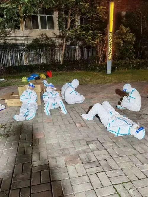 ppcgfun5今日吃瓜,揭秘娱乐圈最新热点事件