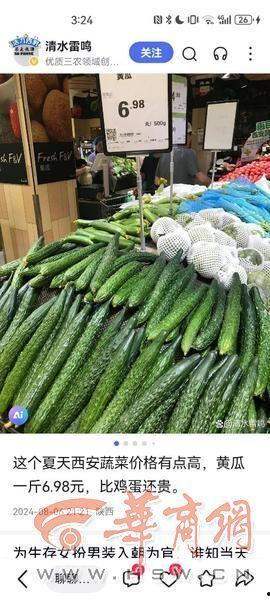 今日兰州蕃瓜价格行情