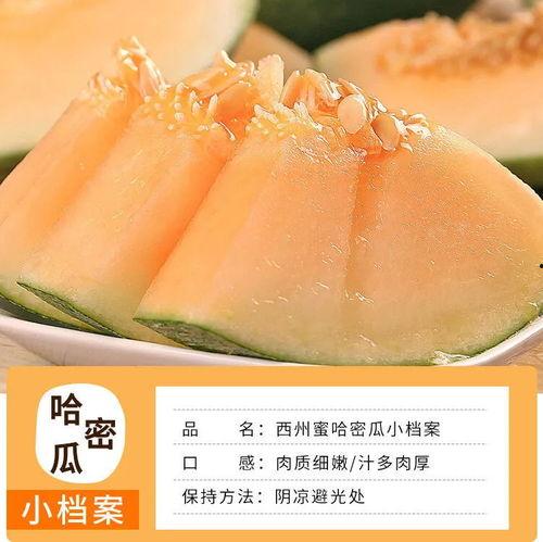 海南哈密瓜今日新闻,热带果香飘满岛