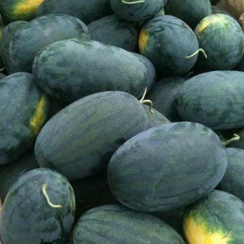 吃瓜曝光黑料155fun在线看,吃瓜曝光黑料，在线观看真相大白