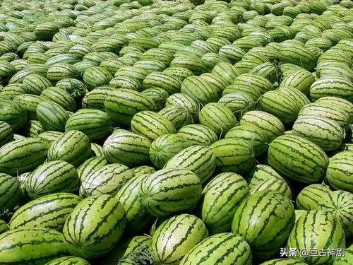 51今日吃瓜热门大瓜入口