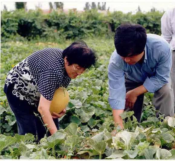 黑交院吃瓜事件,揭秘校园网络舆论风波