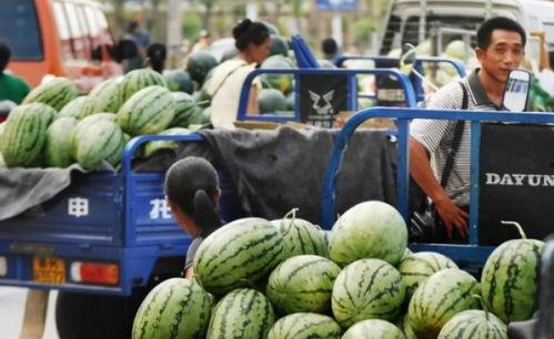 黑交院吃瓜事件,揭秘校园网络舆论风波