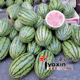 今日乌鲁木齐的瓜,品味新疆特色瓜果盛宴”