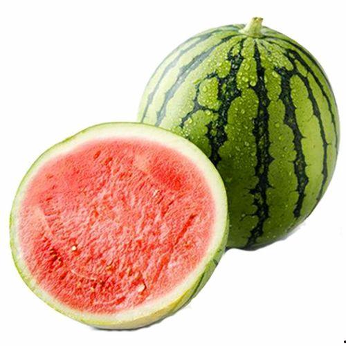 今日推荐麒麟瓜,麒麟瓜，口感与营养并存的美味选择