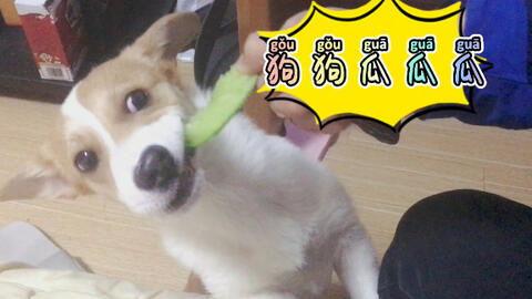 每日吃瓜今日吃瓜,紧跟热点，畅享瓜界盛宴