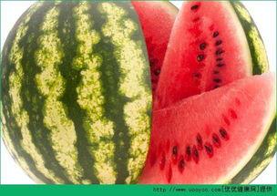 每日吃瓜今日吃瓜,紧跟热点，畅享瓜界盛宴