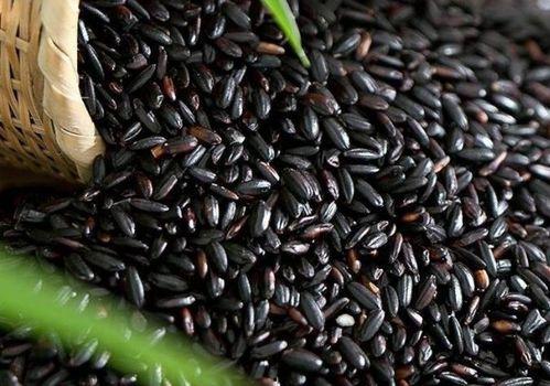 17c吃瓜黑料官网