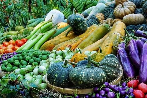 6月吃瓜爆料,娱乐圈爆料大揭秘