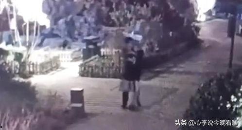 今日吃瓜完整视频,视频内容深度解析