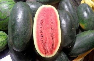 今日吃瓜网红黑料911反,揭秘背后真相